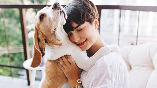 Ten Tips for Taking Care of Your Dog